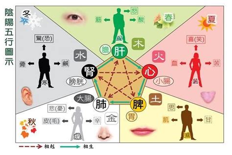 水有關的職業|五行屬水的行業別或職業